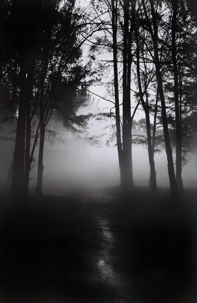 trees